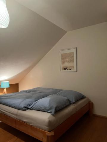 Apartment Haus Severin